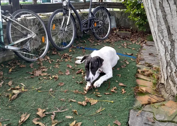 招待所 波萨达德尔帕斯酒店